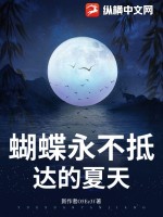 蝴蝶永不抵达的夏天